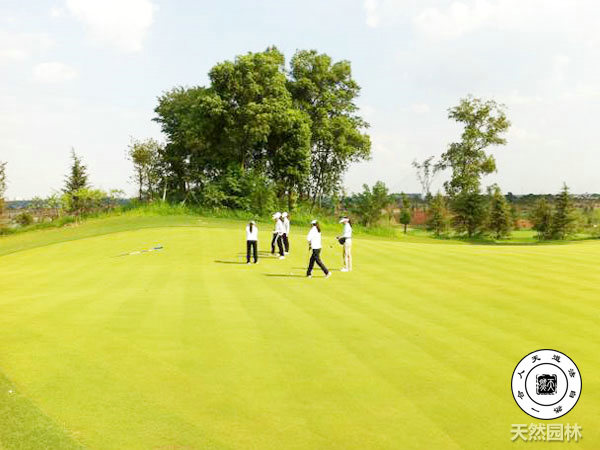 株洲市天然园林景观有限公司,株洲园林景观,石头开采,园林假山设计施工,观赏石材料哪里好